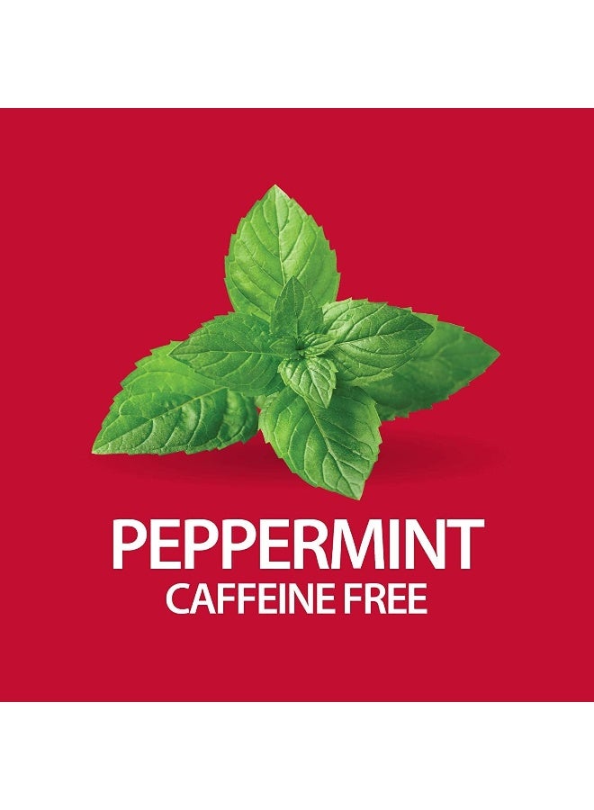 21st Century Herbal Slimming Peppermint Tea 24 Tea Bags - Image 4