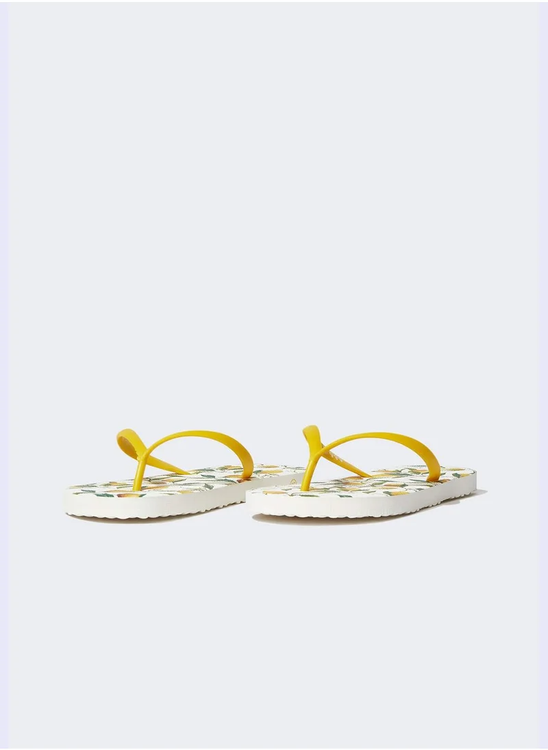 ديفاكتو Basic Flip Flop