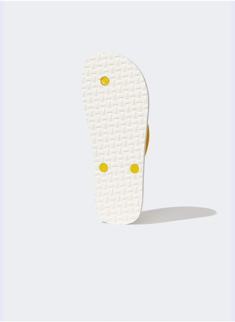 ديفاكتو Basic Flip Flop