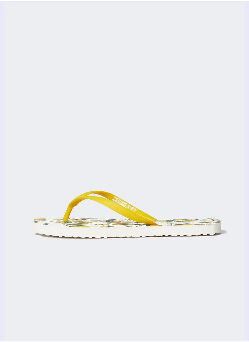 ديفاكتو Basic Flip Flop