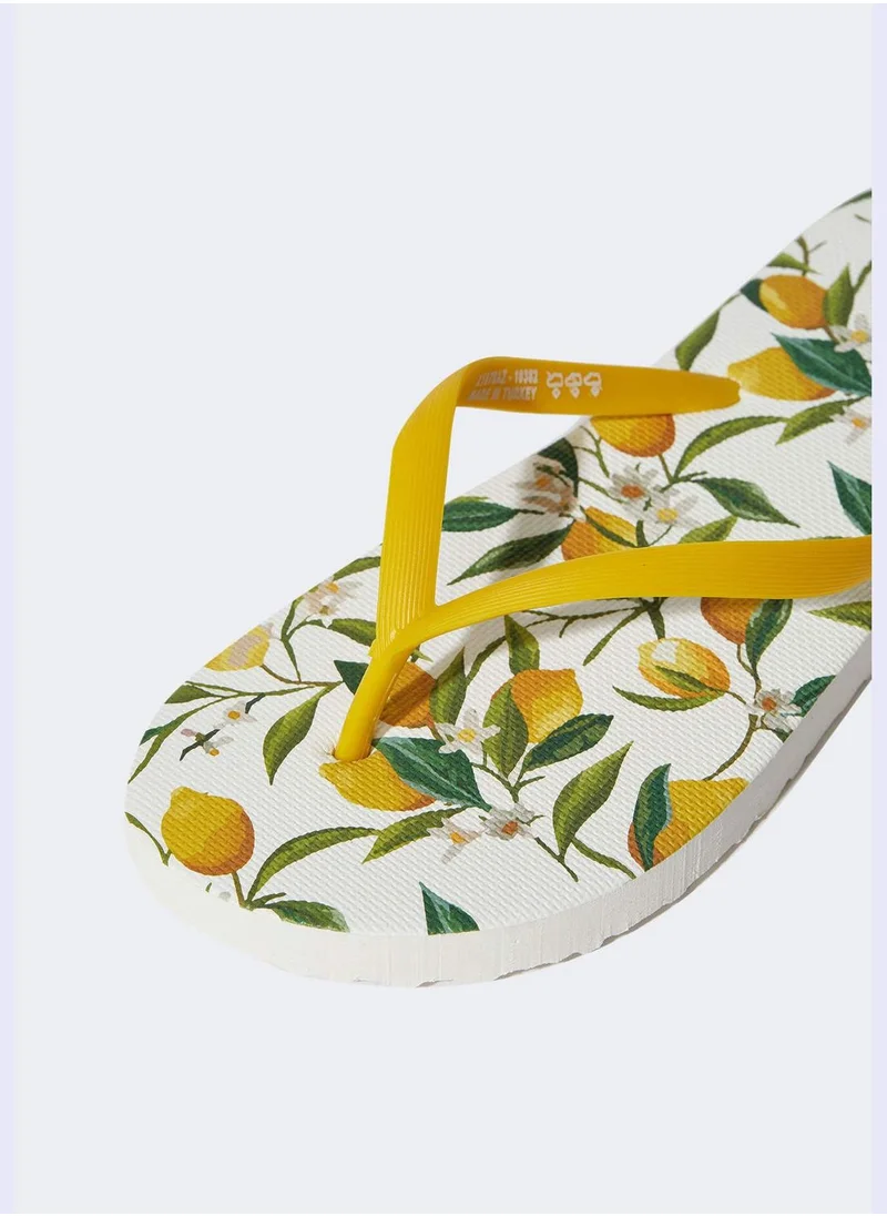 ديفاكتو Basic Flip Flop