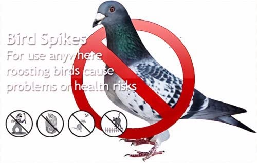 SPIKEZONE - Spikes for Bird & Pigeon, Polycarbonate Bird/Pigeon Control Spikes, Bird Spikes, Pigeon Problem Solutions (20 Pcs Box) - Image 3