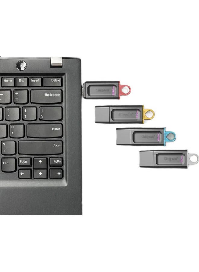 Kingston Kingston 256Gb Usb3.2 Gen 1 Flash Drive, Dtx High-Capacity Usb Drive, Stylish Design, Lightweight And Portable, For Study, Office, Bidding, Computer, Car, And General Use - Image 1