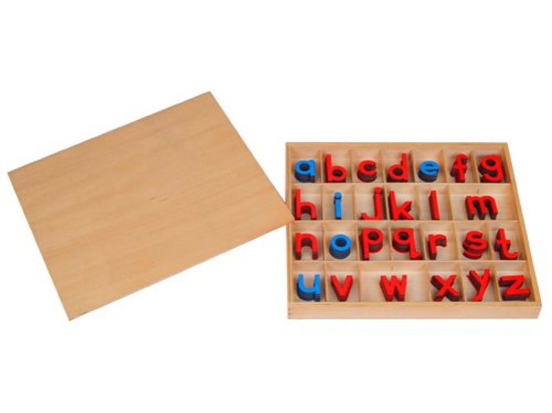 Kid Advance Montessori Small Movable Alphabets w/ Box - Image 5