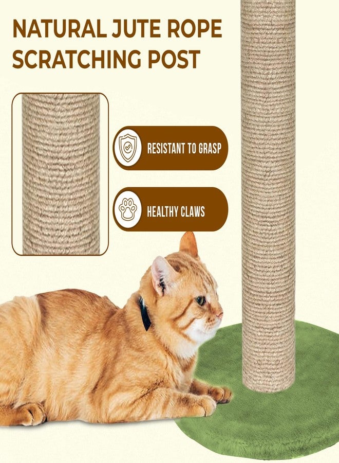 FURRLOVERS Cactus Cat Scratching Post with Climbing Tower, Natural Rope Wrapped Post, Green Plush Top, Mental Stimulation and Exercise (SIZE-20X16 inch) (furr-Cactus-Scratcher-gn) - Image 4