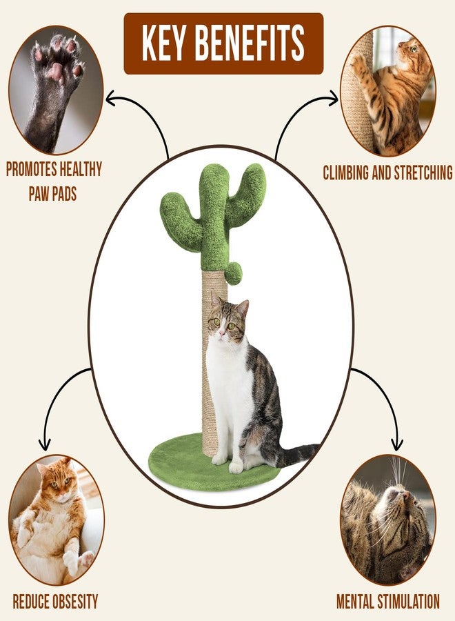 FURRLOVERS Cactus Cat Scratching Post with Climbing Tower, Natural Rope Wrapped Post, Green Plush Top, Mental Stimulation and Exercise (SIZE-20X16 inch) (furr-Cactus-Scratcher-gn) - Image 3