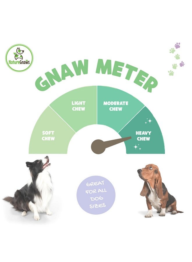 طبيعة أوتار لحم البقر الأمريكية للكلاب (8 أونصة) - سمك مختلط - تدوم طويلاً للمضغ العدواني - مكافآت مضغ لحم البقر الطبيعي الفاخر للكلاب - خالية من الجلد الخام - Image 4