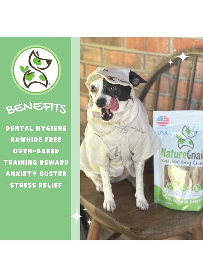 طبيعة أوتار لحم البقر الأمريكية للكلاب (8 أونصة) - سمك مختلط - تدوم طويلاً للمضغ العدواني - مكافآت مضغ لحم البقر الطبيعي الفاخر للكلاب - خالية من الجلد الخام - Image 2