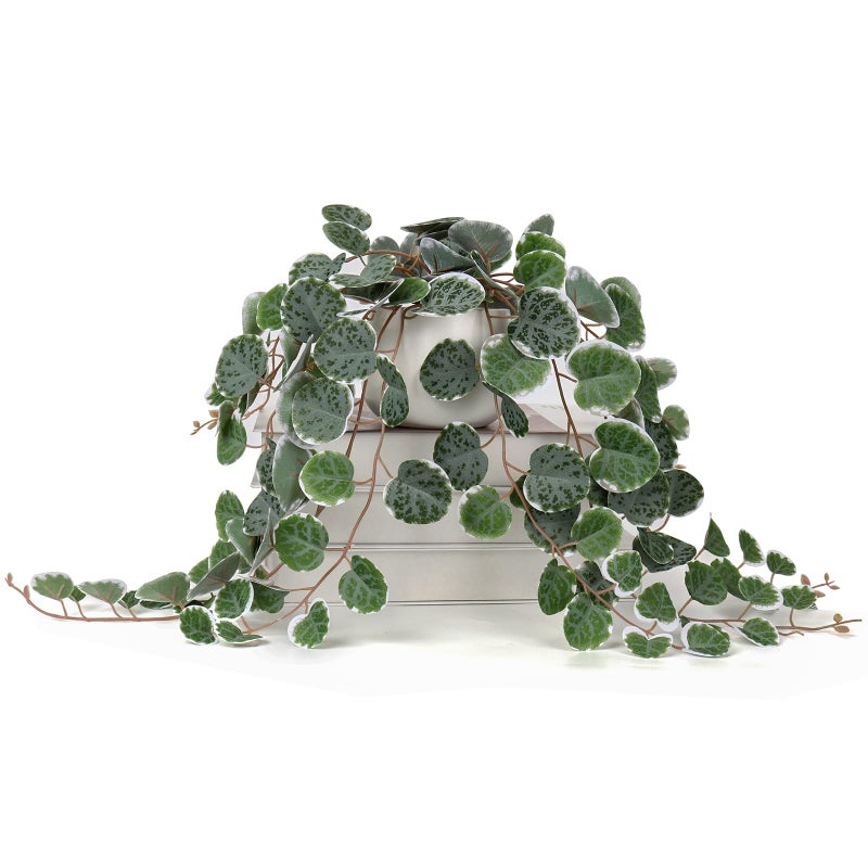 Briful Fake Plants Indoor 16'' Artificial String of Hearts Plants with Ceramic Pot Faux Draping Vine Plants for Home Bathroom Table Shelf Office Hotel Decor - Image 1
