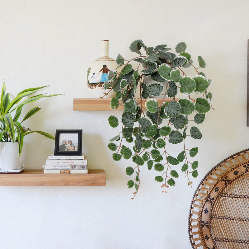 Briful Fake Plants Indoor 16'' Artificial String of Hearts Plants with Ceramic Pot Faux Draping Vine Plants for Home Bathroom Table Shelf Office Hotel Decor - Image 5