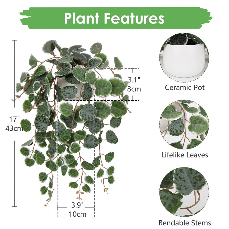 Briful Fake Plants Indoor 16'' Artificial String of Hearts Plants with Ceramic Pot Faux Draping Vine Plants for Home Bathroom Table Shelf Office Hotel Decor - Image 2