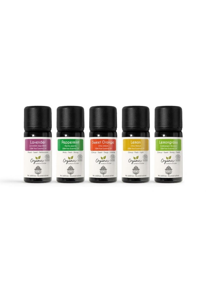Aroma Tierra Top 5 Organic Essential Oil Set - For Gift, Diffuser, Skin, Hair - Image 4