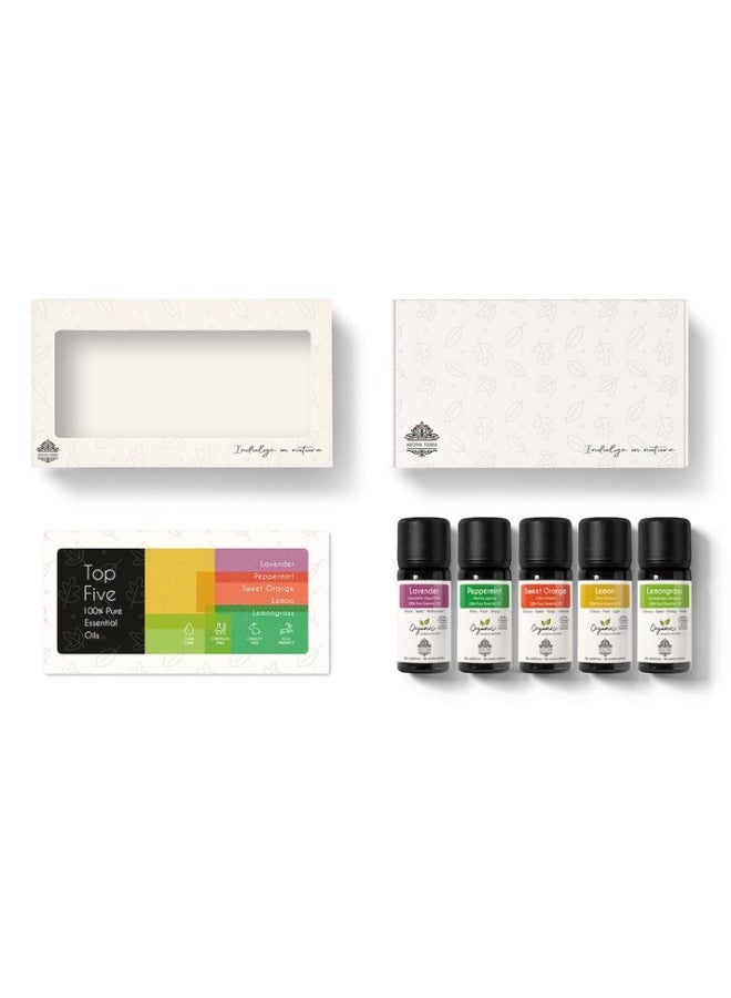 Aroma Tierra Top 5 Organic Essential Oil Set - For Gift, Diffuser, Skin, Hair - Image 5