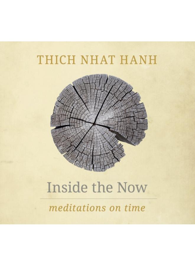 Inside the Now : Meditations on Time 