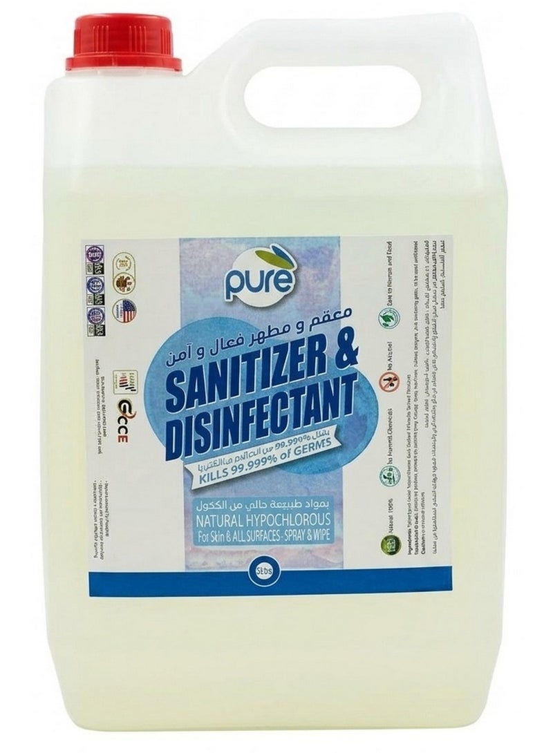 Hand Sanitizer & Disinfectant 5 L