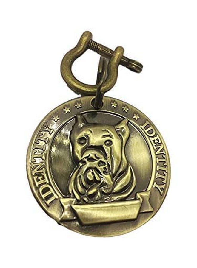 طوق ذهبي عتيق متين على شكل دائري للحيوانات الأليفة، علامة نحاسية مستوردة، طوق هوية مثالي لديكور رقبة الجراء والكلاب - Image 1