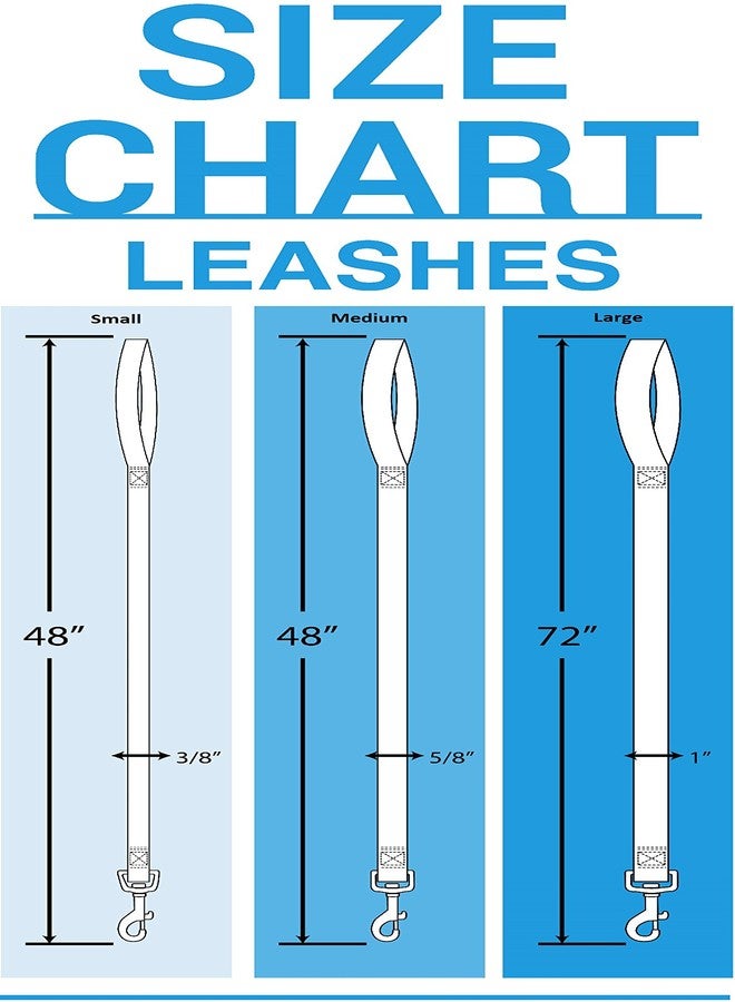 بتس فيرست طوق مقود للحيوانات الأليفة من الرابطة الوطنية لرياضة الجامعات (NCAA)، صغير الحجم، فريق أريزونا ستيت صن ديفلز، طوق مقود لامع وملون للكلاب والقطط، مرخص من قبل الرابطة الوطنية لرياضة الجامعات (NCAA). - Image 2