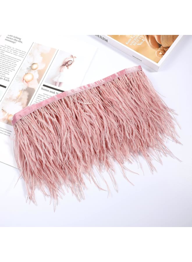 Feather Clothing Accessories Ostrich Feather Trim with Satin Sewing Fringe Feather Ribbon for Dress Crafts Clothes 2m aging (leather Powder) - Image 2