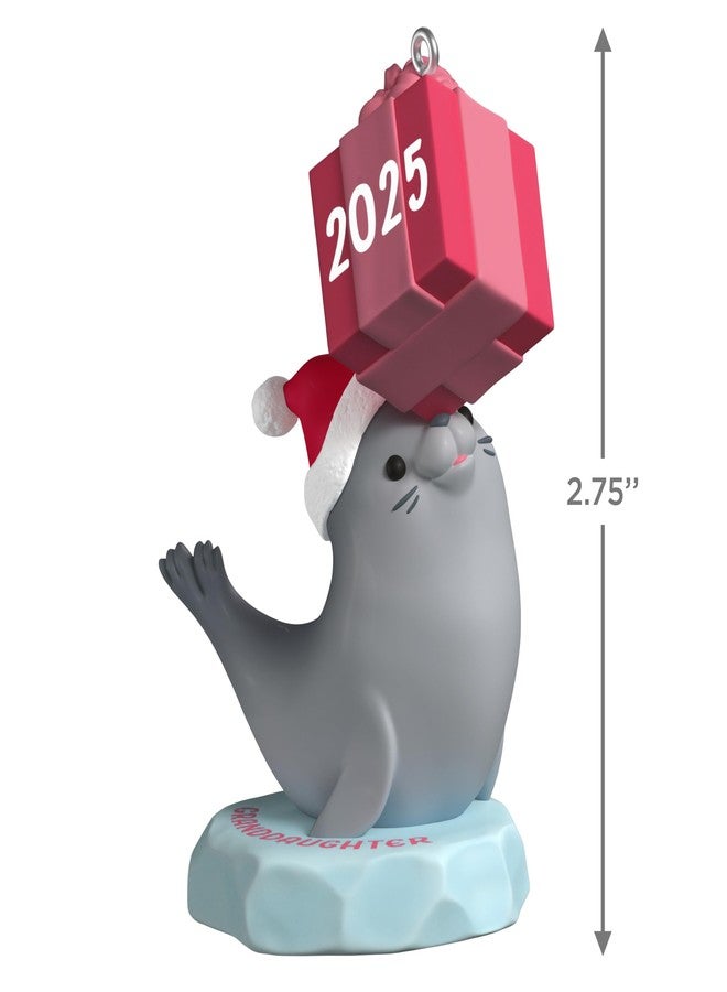 Hallmark Keepsake Christmas Ornament 2025, Granddaughter Seal 2025 - Image 4