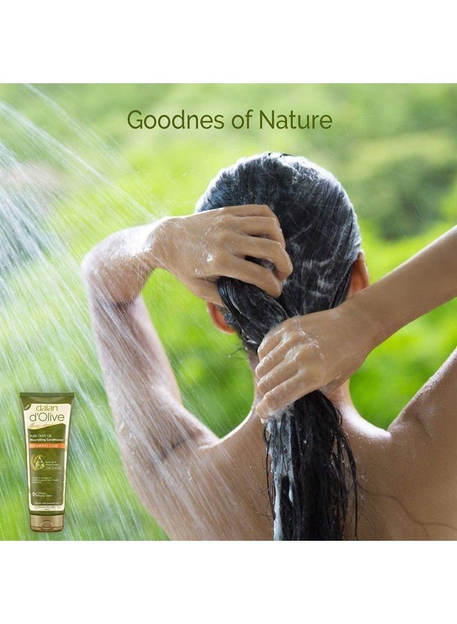 Dalan مجموعة سفر د`أوليف، 5 قطع - شامبو، بلسم شعر، جل استحمام، صابون بار، لوشن يدين وجسم - Image 4