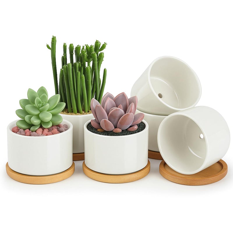 ZOUTOG Ceramic Succulent Pots,3.6 Inch Plant Pots,Succulent Planters with Drainage Hole & Bamboo Tray for Indoor Plants,White Small Flower Planters for Home,Office,Desk(6 Pack) - Image 1