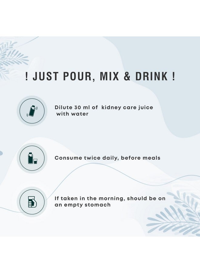 Four Seasons Four Seasons Kidney Detox (Care) Juice 1000ml | Natural Kidney Support Supplement | Ayurvedic Medicine for Kidney | Enriched with 10+ Herbs Amla, Harad, Bhumi Alma, Jeera, Hing, Pudina | No Added Sugar & Chemical (1)  - Image 4
