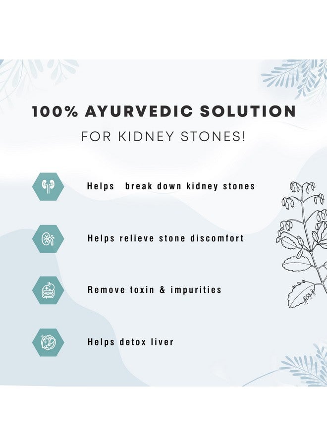 Four Seasons Four Seasons Kidney Detox (Care) Juice 1000ml | Natural Kidney Support Supplement | Ayurvedic Medicine for Kidney | Enriched with 10+ Herbs Amla, Harad, Bhumi Alma, Jeera, Hing, Pudina | No Added Sugar & Chemical (1)  - Image 3
