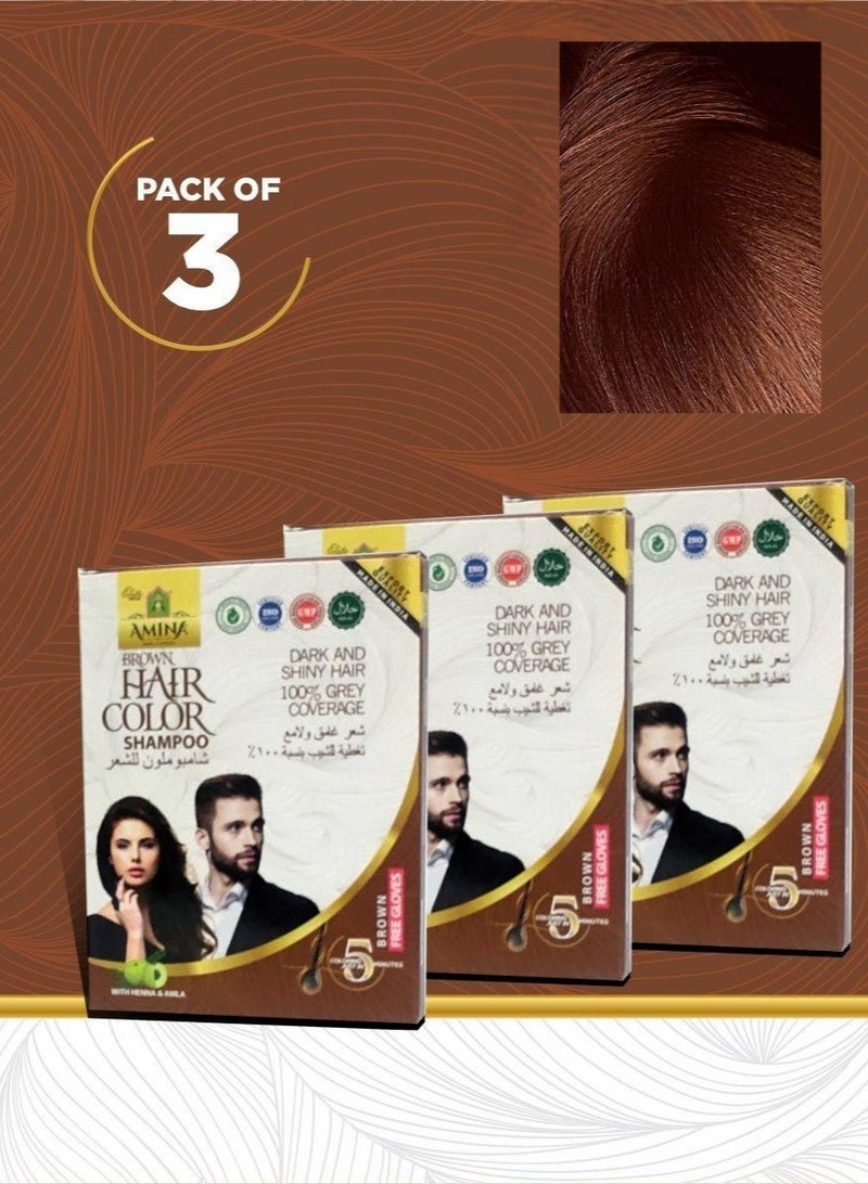 Amina 5 Minute Express Vip Permanent Brown Herbal Hair Colour Shampoo With Heena & Amla for Men and Women 60ml (20ml Pack of 3) Quickest Colours For Your Hair With Gloves Free - Image 1