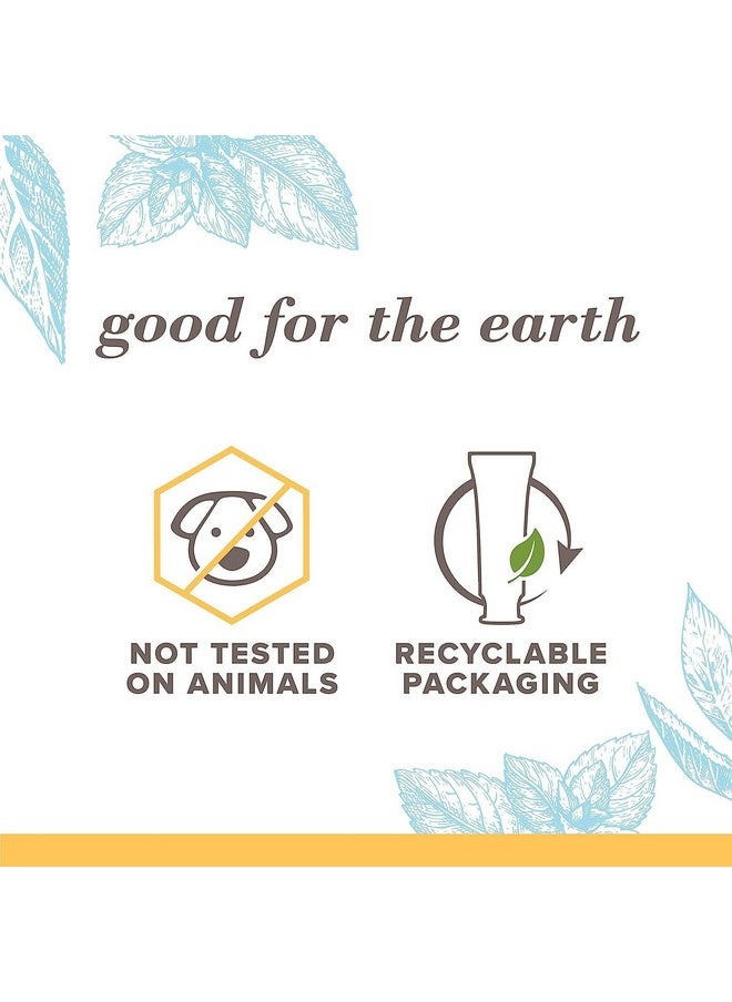 Burt's Bees - Extra White Toothpaste, Fluoride Toothpaste, Natural Flavor, Mountain Mint, 4.7 Oz, Pack Of 3 - Image 1