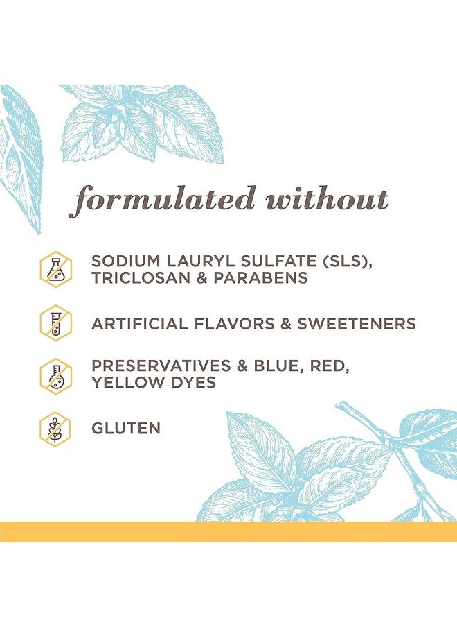 Burt's Bees - Extra White Toothpaste, Fluoride Toothpaste, Natural Flavor, Mountain Mint, 4.7 Oz, Pack Of 3 - Image 1