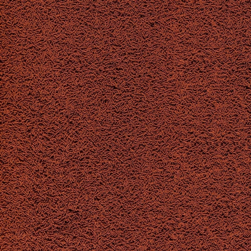 Tetra , Worm Bites - Image 3