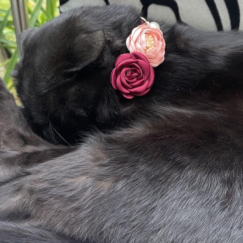 Xiaoxiangfeng court style noble and elegant retro rose pearl small dog cat collar, adjustable red pink flower pet collar (7.5-11 inches) - Image 2