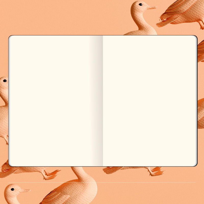 Flexbook Flexbook Sketchbook Black Large A4 22x31cm 96 Pages 170gsm Special Quality Munken Paper Special Black Art Paper Cover Elastic Band Closure FSC Certified  - Image 5