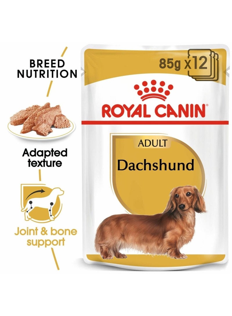 ROYAL CANIN طعام رطب للبالغين من سلالة داشهند 12x85غ - Image 1