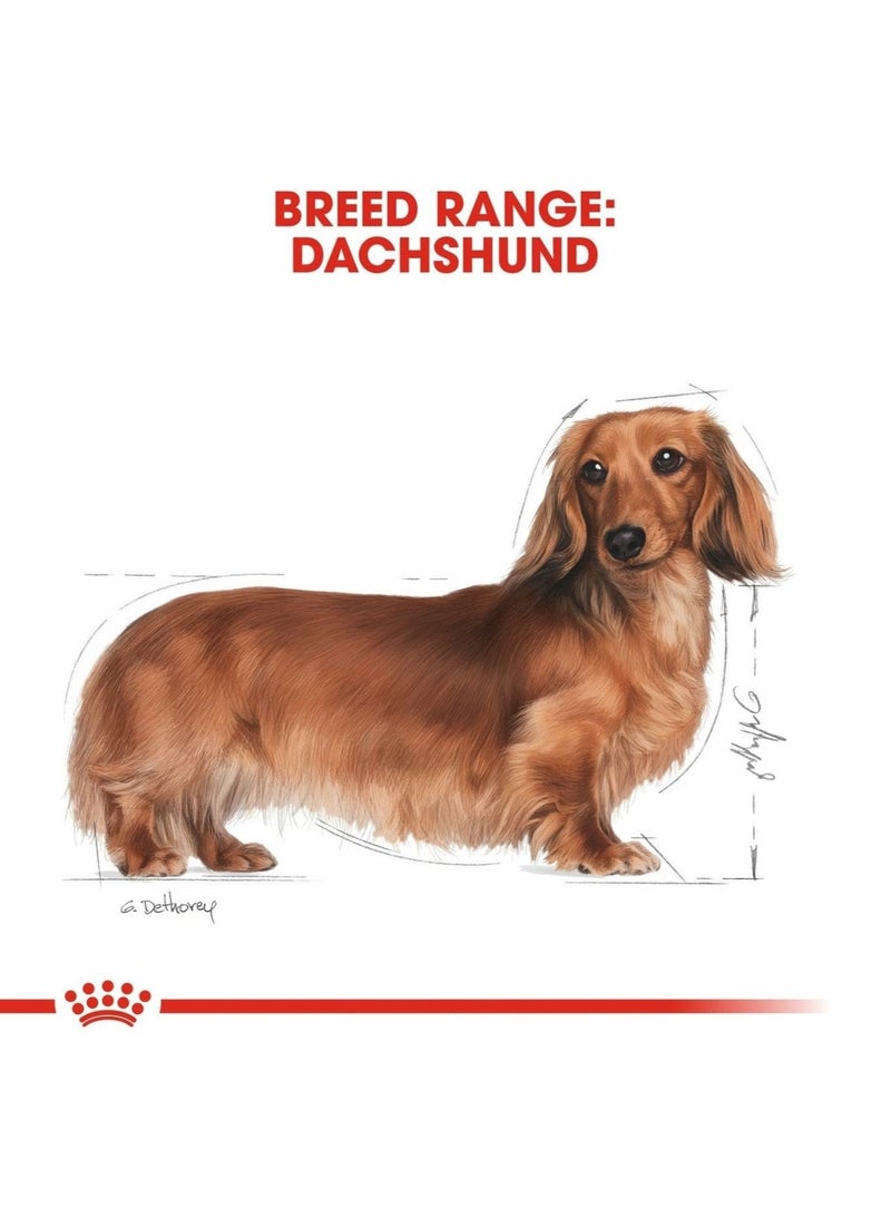 ROYAL CANIN طعام رطب للبالغين من سلالة داشهند 12x85غ - Image 3