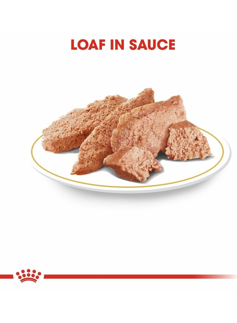 ROYAL CANIN طعام رطب للبالغين من سلالة داشهند 12x85غ - Image 5