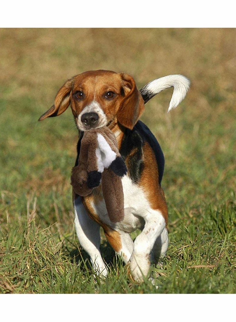 Zikra 2 Pack Dog Squeaky Toys 2 No Stuffing Toy and Two Plush with Stuffing for Small Medium Dog Pets - Image 4