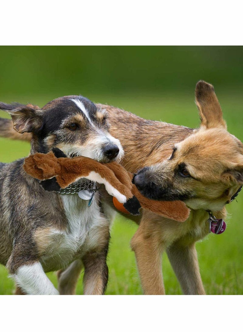 Zikra 2 Pack Dog Squeaky Toys 2 No Stuffing Toy and Two Plush with Stuffing for Small Medium Dog Pets - Image 5