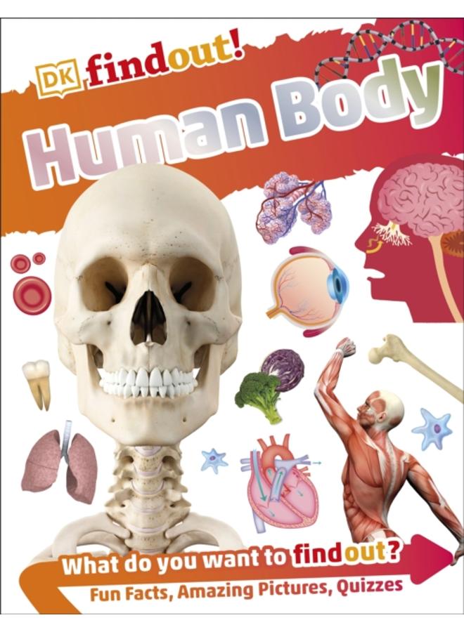 دي كي فايند آوت! جسم الإنسان