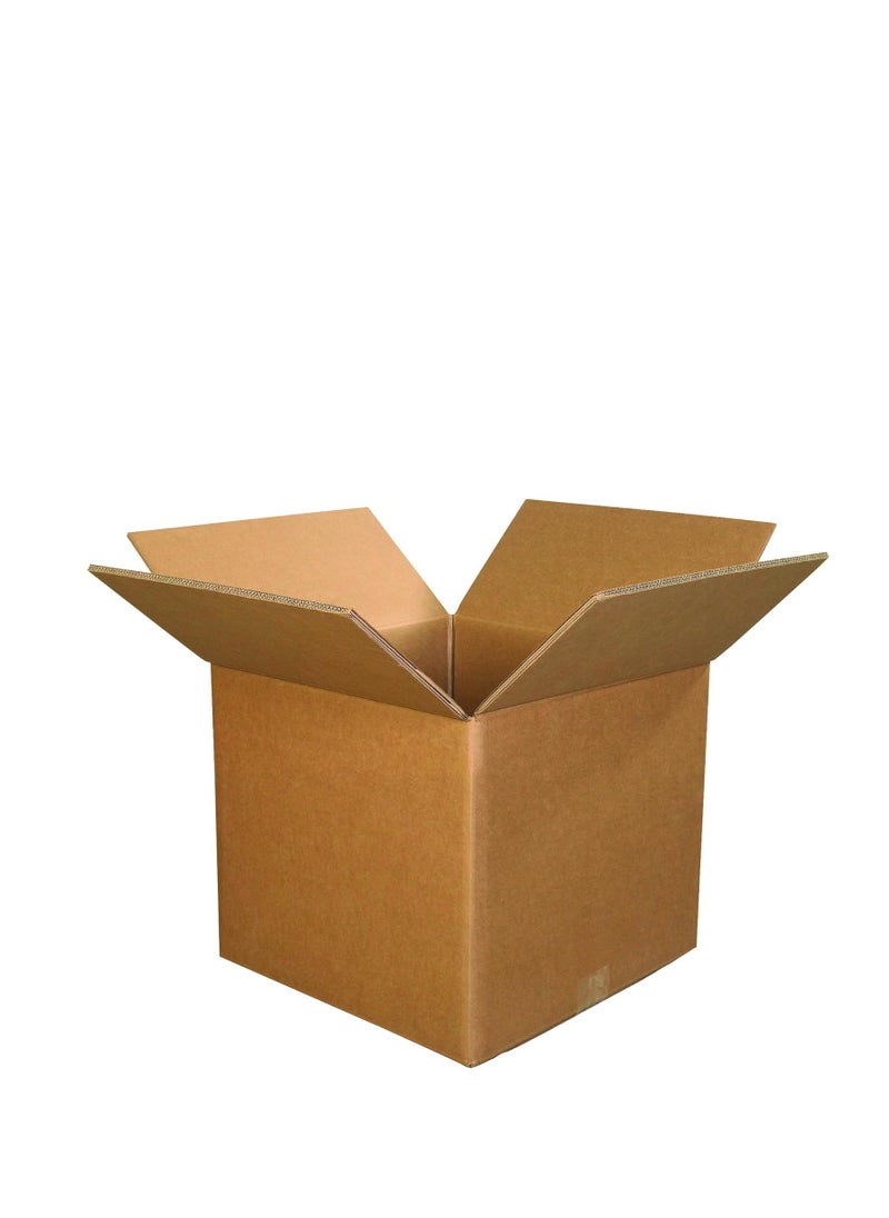 AREEN PACK - AREEN PACK Carton Box Set of 1 Piece, 45x31x40cm, 5-Ply - Image 1