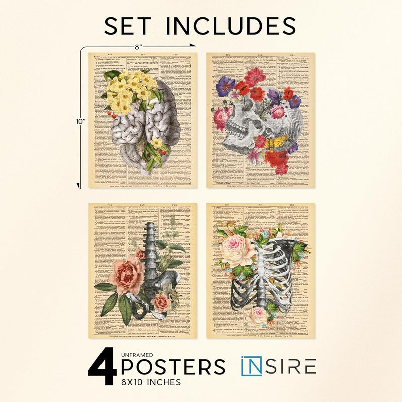 Insire Anatomy Art, Anatomy Wall Art, Medical Art Wall Decor, Human Anatomy Decor, Anatomy Pictures Wall Decor, Anatomy Posters Aesthetic, Skull Pictures - Unframed (8x10”) - Image 2