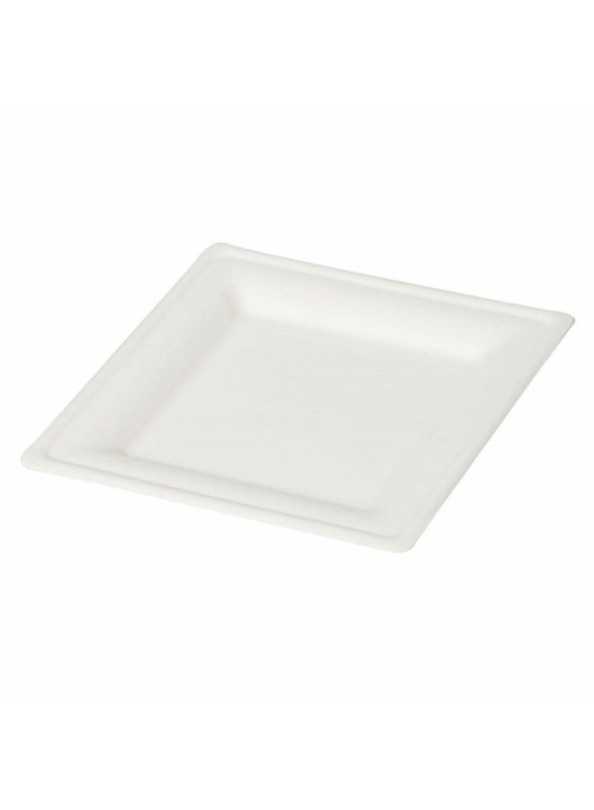 Disposable Plate, Square - 8inch 10pcs, India