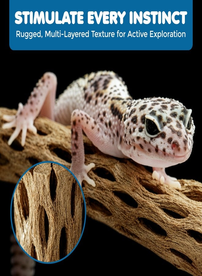 SunGrow Hermit Crab Woods, Climbing Logs, Chews, Keep Hermies Busy and Active, Long Dried Aquarium Décor Adds Raw Beauty - Image 5