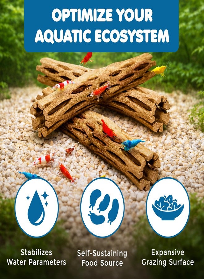 SunGrow Hermit Crab Woods, Climbing Logs, Chews, Keep Hermies Busy and Active, Long Dried Aquarium Décor Adds Raw Beauty - Image 3