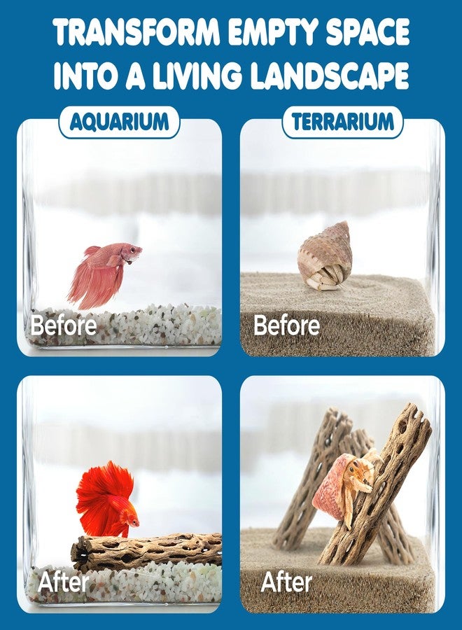 SunGrow Hermit Crab Woods, Climbing Logs, Chews, Keep Hermies Busy and Active, Long Dried Aquarium Décor Adds Raw Beauty - Image 4