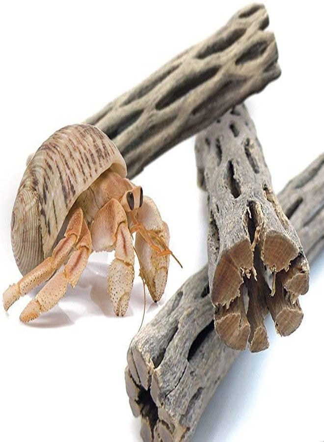SunGrow Hermit Crab Woods, Climbing Logs, Chews, Keep Hermies Busy and Active, Long Dried Aquarium Décor Adds Raw Beauty - Image 2