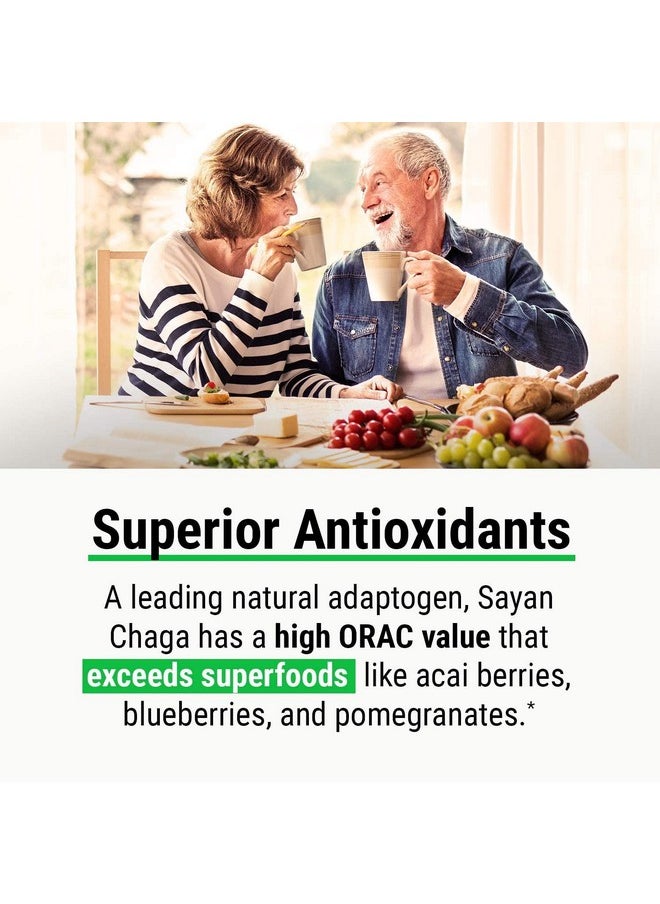 sayan - Siberian Wild Sustainably Harvest Organic Chaga Mushroom Extract Powder 4Oz /113G Immune System And Energy Booster Antioxidant Tea For Focus And Mental Clarity Vegan Instant Coffee Mix - Image 1