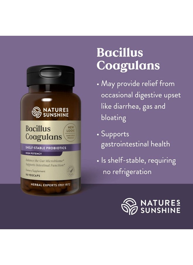 Nature's Sunshine - Nutribiome Bacillus Coagulans Probiotics 90 Capsules ; 3 Billion Cfu Of Bacillus Coagulans Probiotic Helps Defend Against Digestive Upset And Occasional Diarrhea Gas And Bloating - Image 1