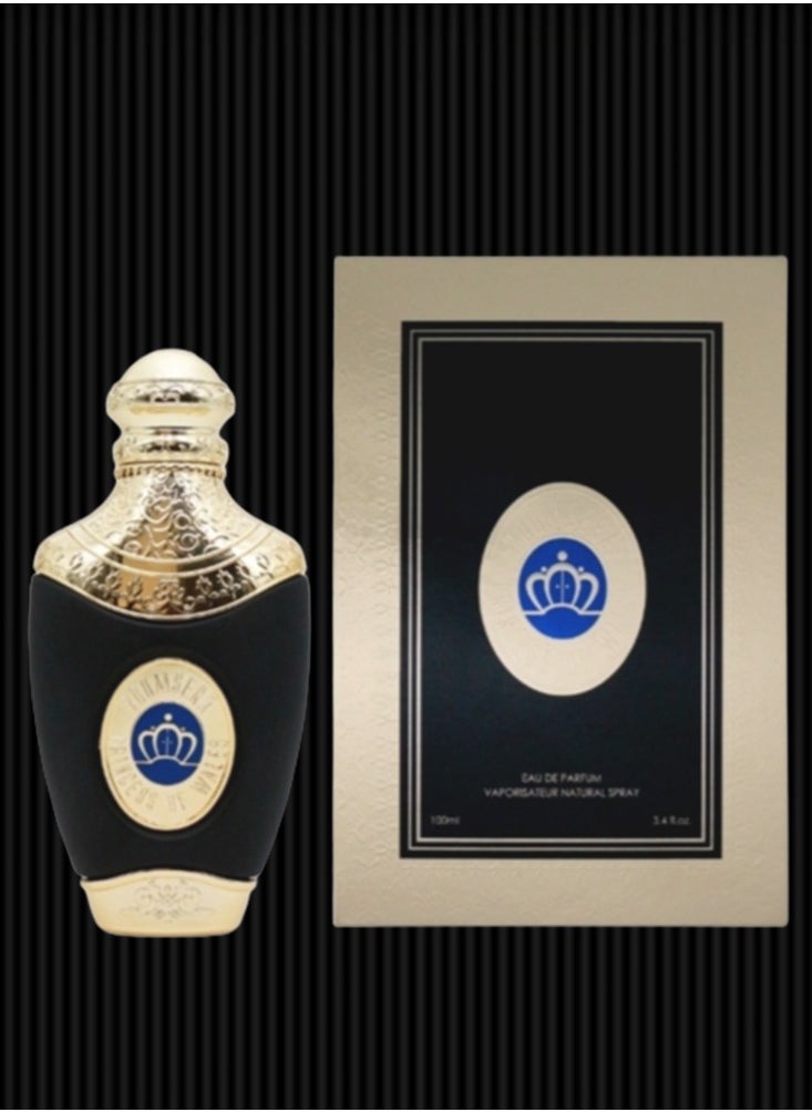 YOUMSERA Youmsera Black Perfume 100ml EDP  - Image 1