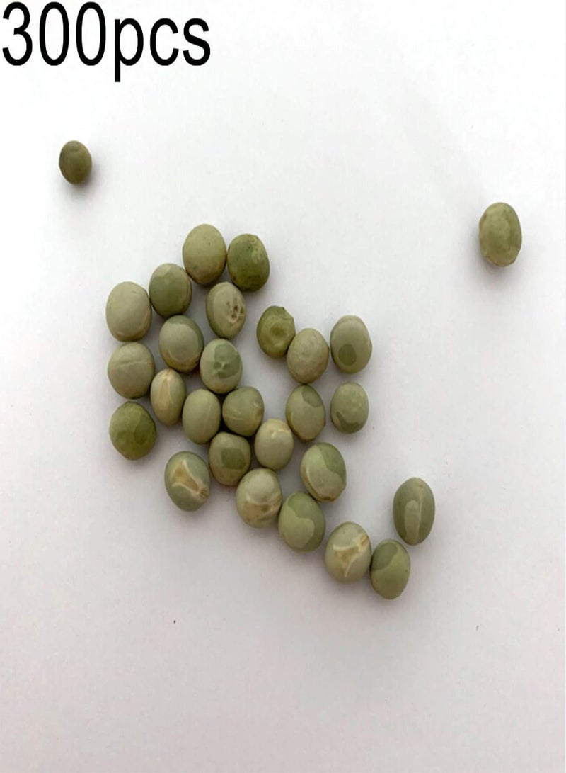 جي جوت بذور خضراوات متنوعة - 300 قطعة من بذور البازلاء السكرية، خضراوات لذيذة للحديقة المنزلية والفناء الخلفي وسقف المنزل، هدية للأطفال والبستانيين المبتدئين - 1# - Image 2